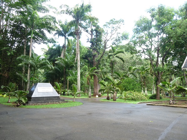 Palmengarten Pamplemousses Mauritius