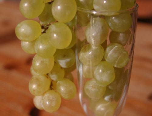 Silvester in Barcelona – Weintrauben statt Böller