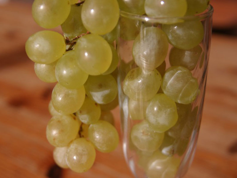 Beitragsbild - Silvester in Barcelona – Weintrauben statt Böller