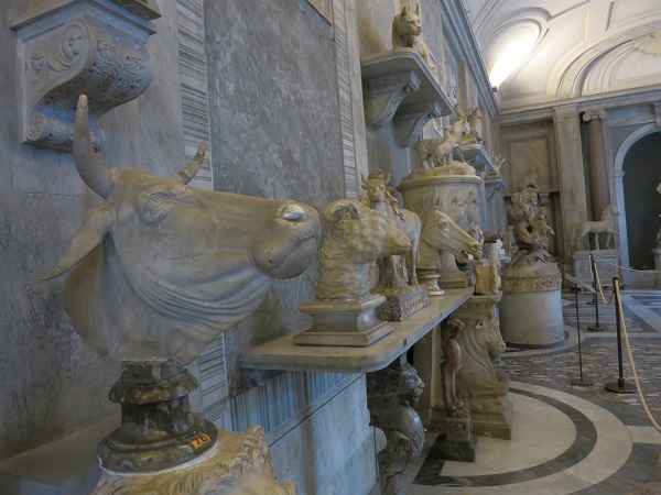 Rom Vatikanische Museen Tiere