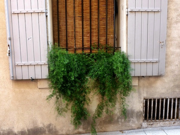 Arles Provence Fenster grün