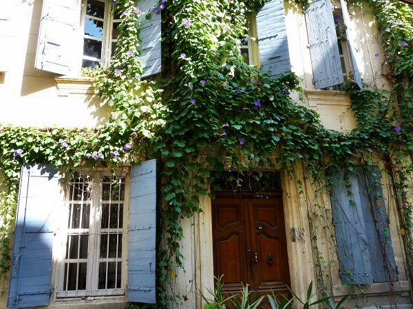 Arles blühende Fassade Provence