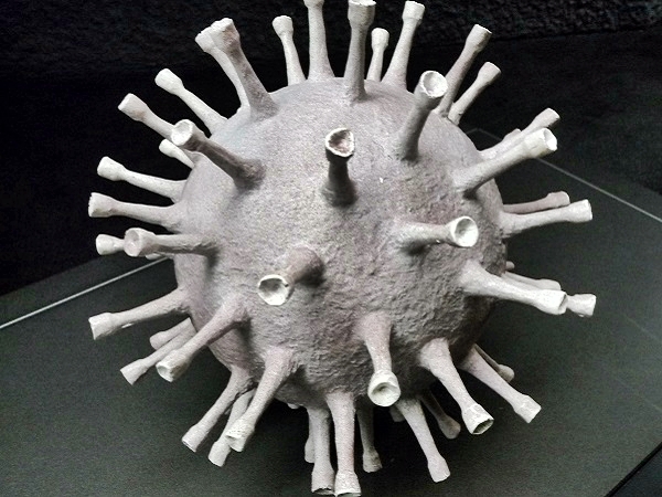 Viren und Bakterien - Mikroben Modell Museum Barcelona