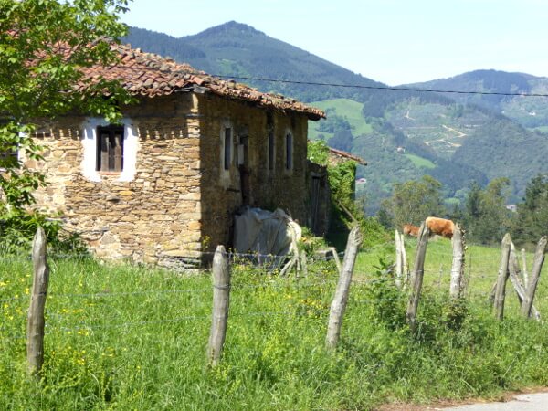 Kühe und Alpenflair im Baskenland Spanien bizkaia