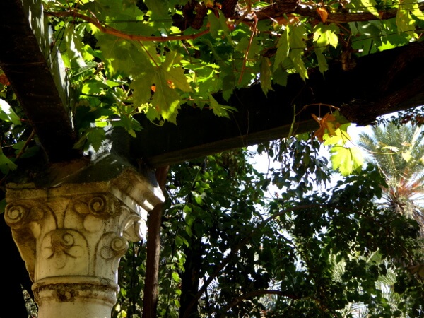 Real Alcazar Sevilla Gärten Laube