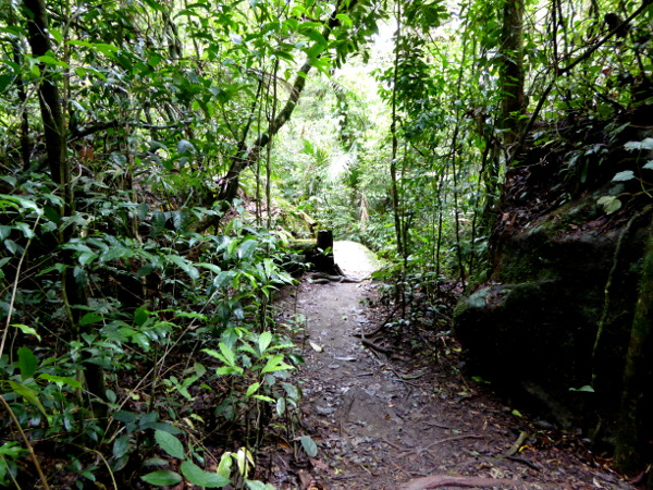 wandern trecking parque serra dos orgaos brasilien