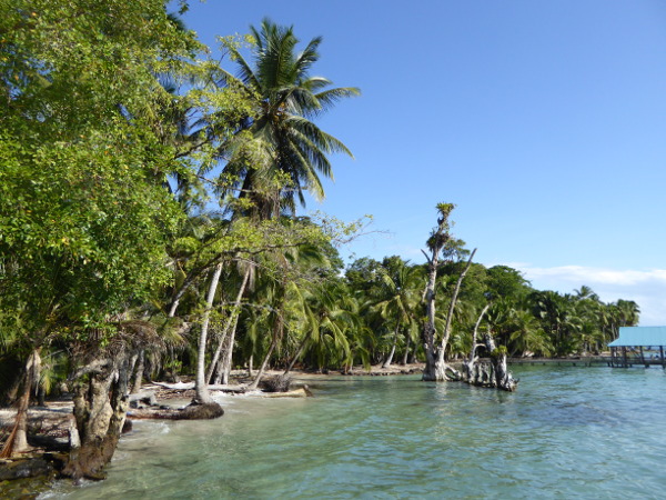 Isla Carenero Bocas fruehstueck ausblick