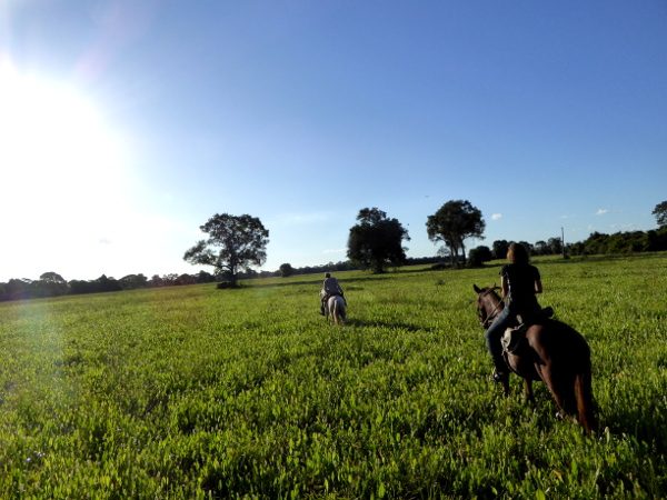 reiten Pantanal Pferde Brasilien