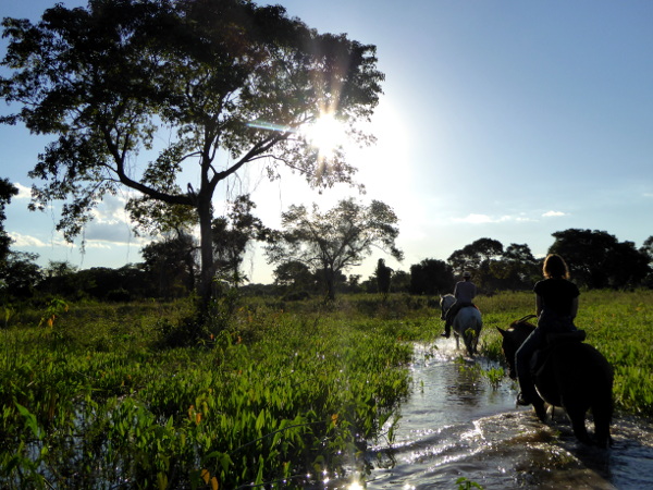 reiten sumpfgebiet pantanal sonnenuntergang
