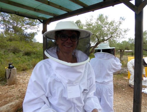 Die Bienen und der Honig – Bee careful!
