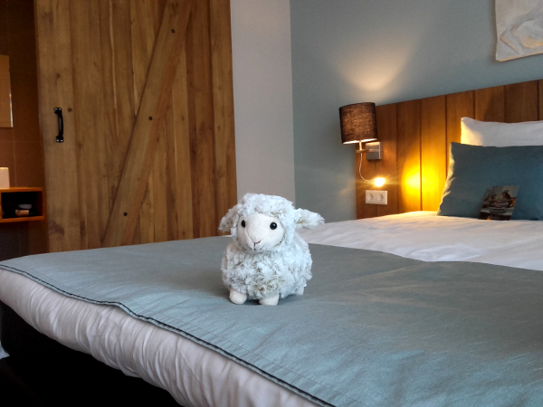 schafe-hotel-texel-woolness-freibeuter-reisen