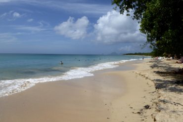 Traumhafte Strände auf Martinique: Unter Palmen 2