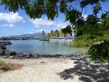 Traumhafte Strände auf Martinique: Unter Palmen 9