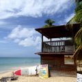 Traumhafte Strände auf Martinique: Unter Palmen 12