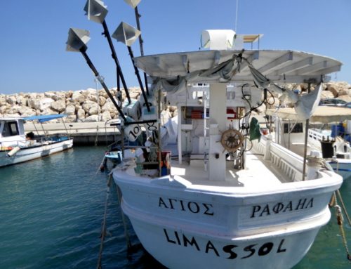 Was machen auf Zypern? Ausflug mit dem Boot oder per Rad
