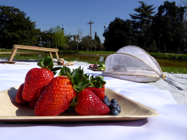 Erdbeeren picknick im Park barcelona freibeuter reisen