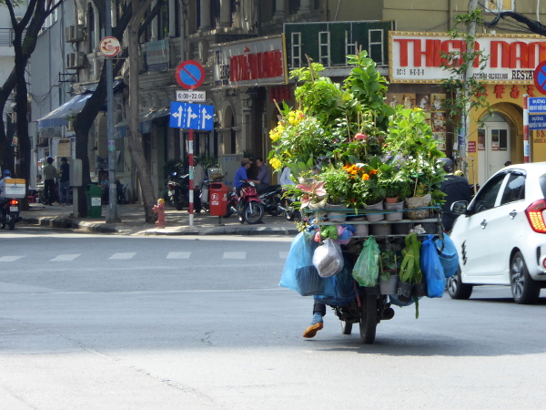 Moped Ho Chi Minh city
