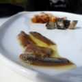 anchovis escala fertig zum essen anxovis freibeuter reisen