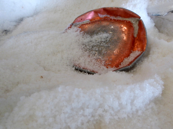 anchovis escala salz zum einlegen der sardellen freibeuter reisen