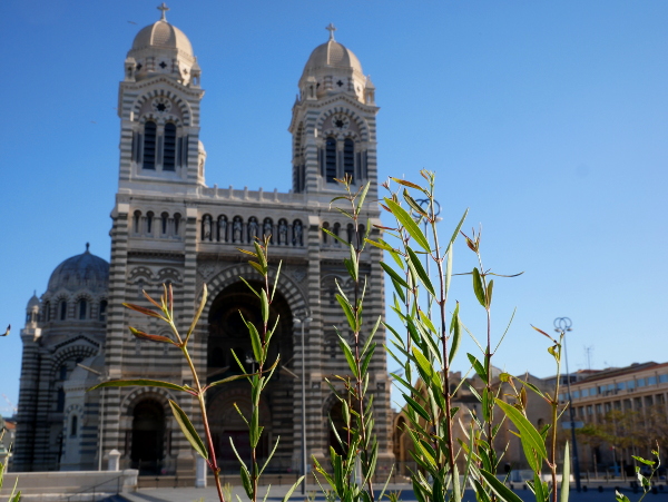 la cathedrale Kathedrale Marseille Freibeuter reisen