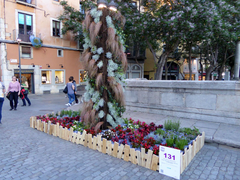 Temps de Flors – Girona