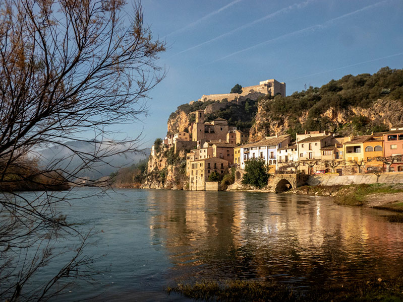 Miravet Ebro Ufer Baum