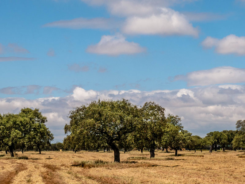 Extremadura Landschaft