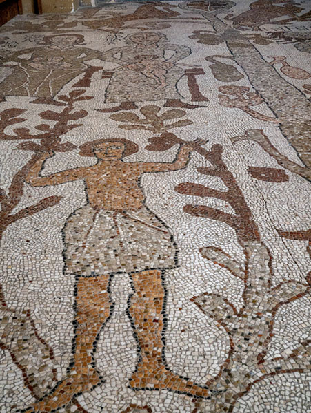 Otranto Kirche Mosaik Lebensbaum