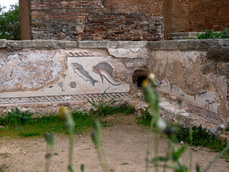 fisch mosaik ruinen milreu estoi algarve portugal 