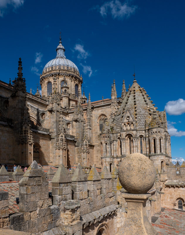 catedral vieja Salamanca Kathedrale 