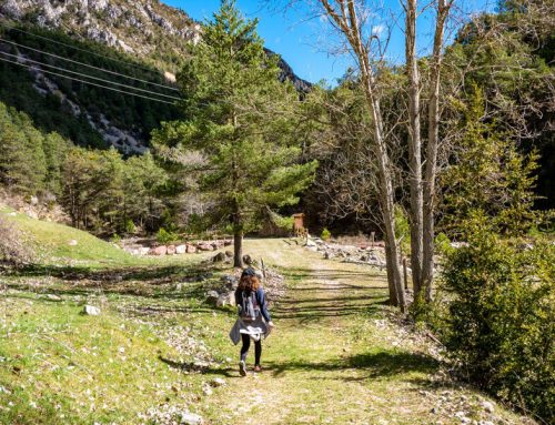 Wandern in den Pyrenäen – La Seu d’Urgell