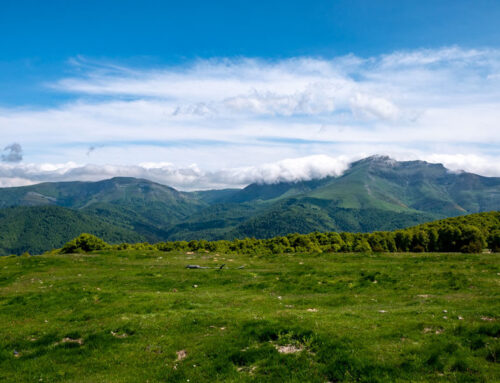 Sierra Abodi – hoch über dem Wald von Irati