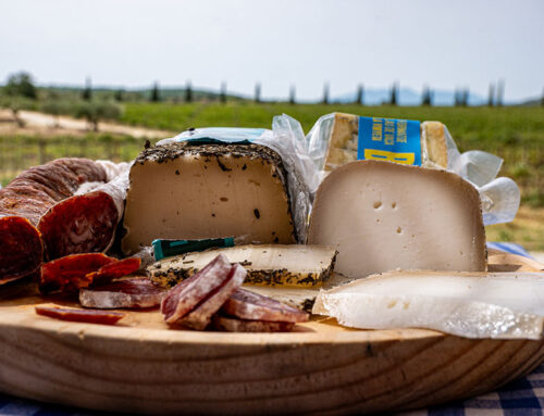 Käse vom Weingut, ein perfektes Picknick
