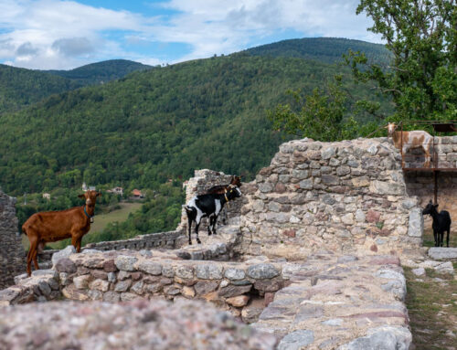 Kleine Wanderung zum Castell de Rocabruna