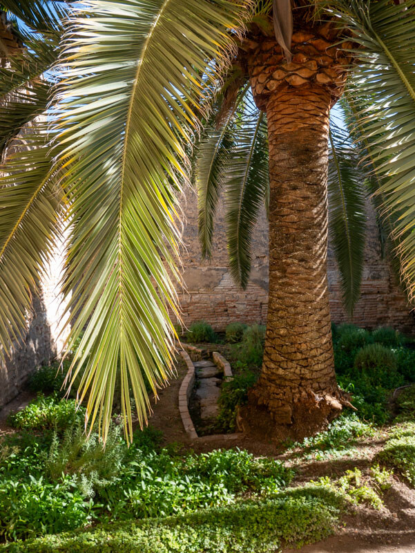 albaicín Granada palacio dar al-Horra