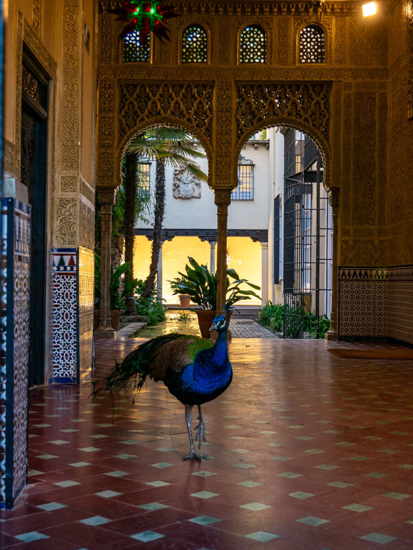 jardin de los martires granada