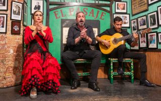 Flamenco Musik El Pasaje