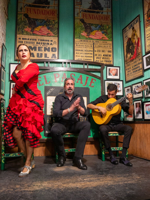 El Pasaje Jerez de la Frontera Flamenco Tänzerin Carmen Moncada