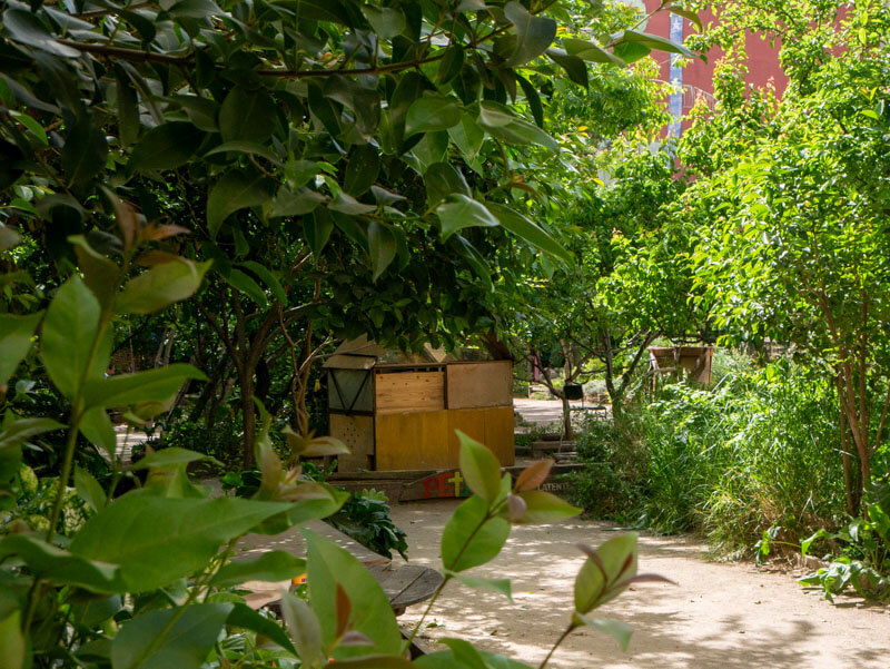 urban garden lavapiés