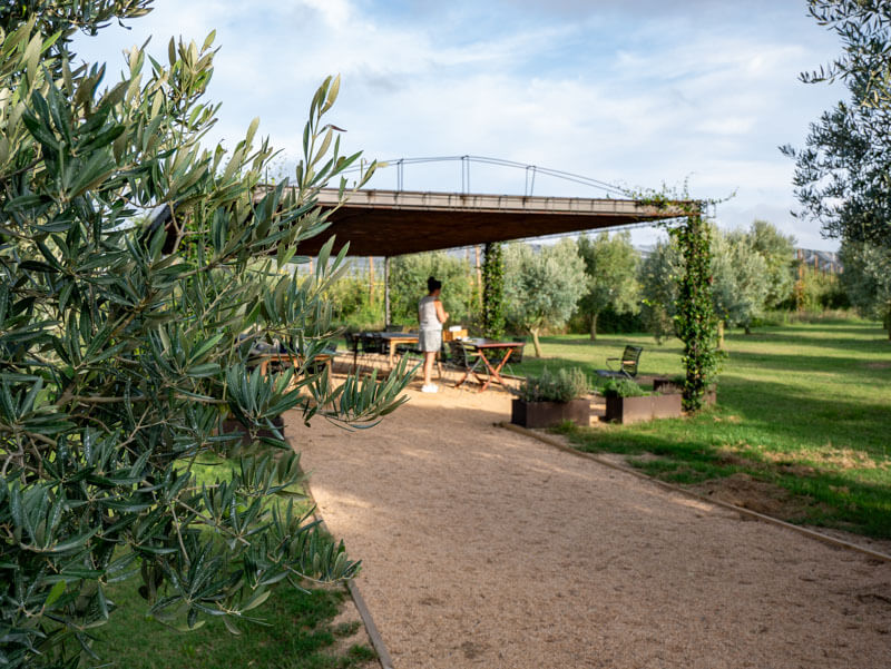 olivenöl Costa Brava