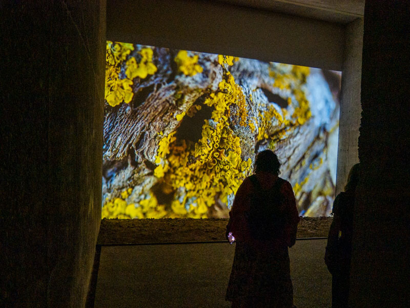 Video audio Perelada