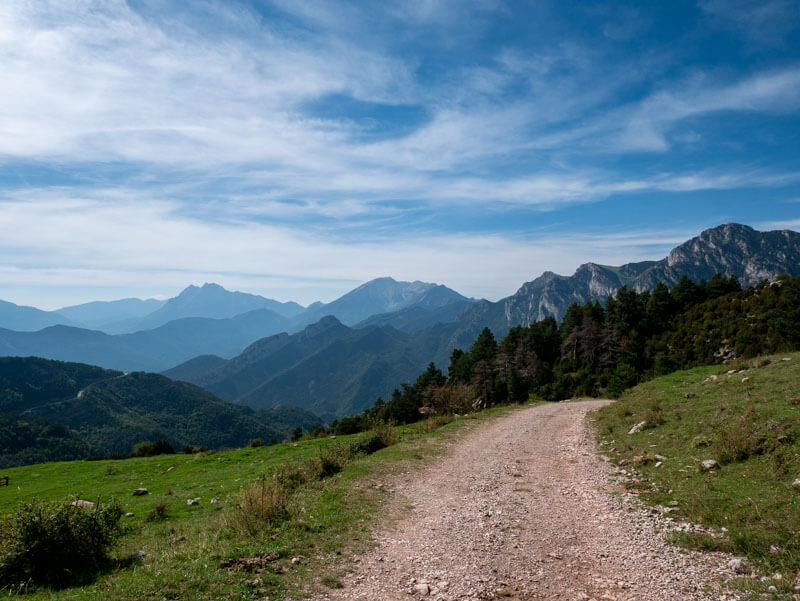 neue piste 