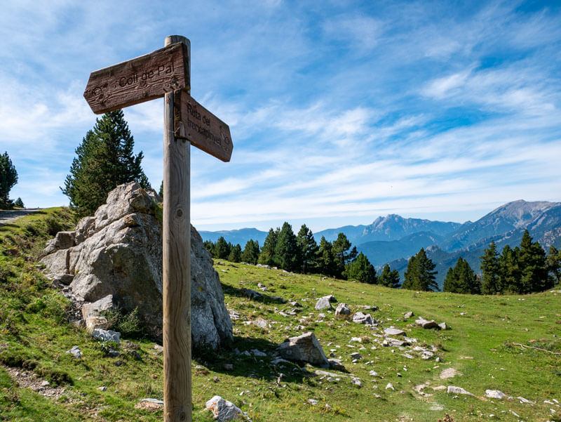Weg über die Wiese ruta Trencapinyes