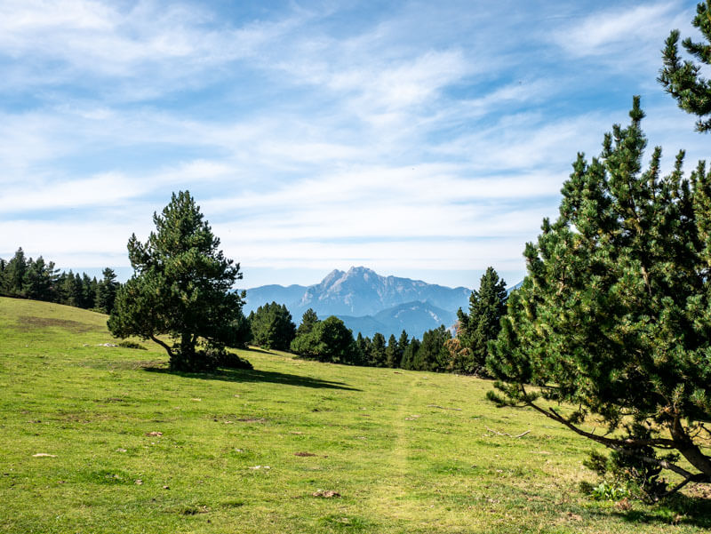 Ruta del Trencapinyes über die Wiese