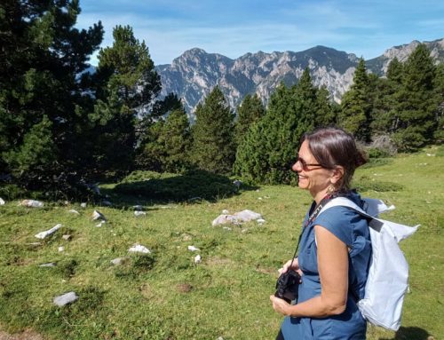 Ruta del Trencapinyes im Naturpark Cadí-Moixeró
