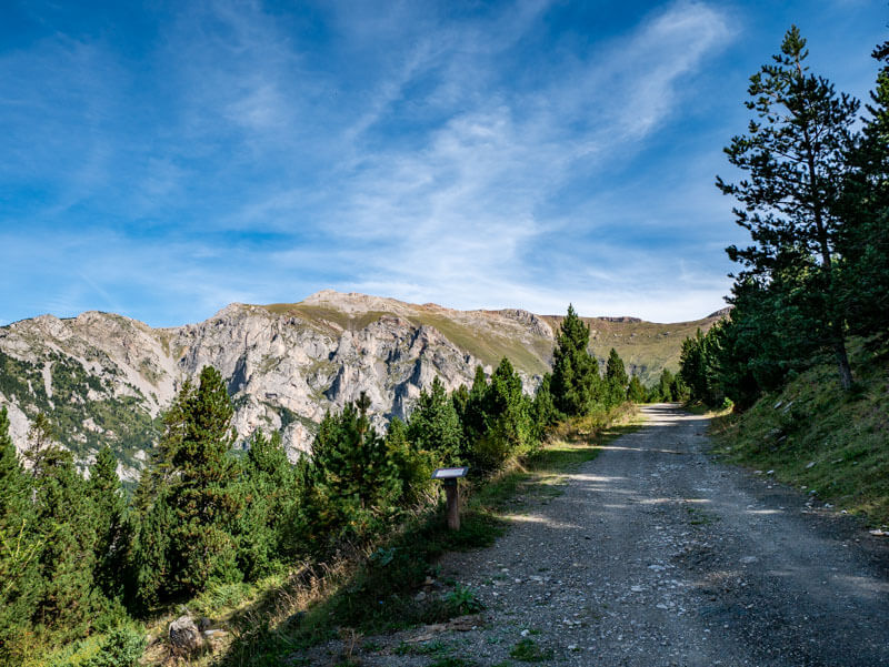Forstweg, Anfang der Ruta del Trencapinyes