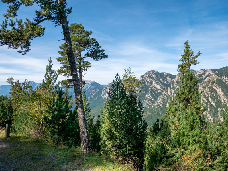 Ausblick