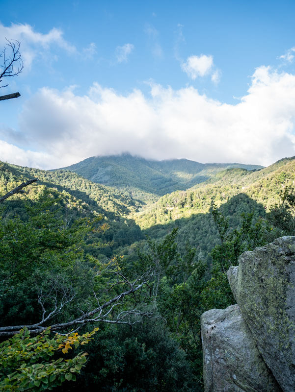 Montseny Arbúcies