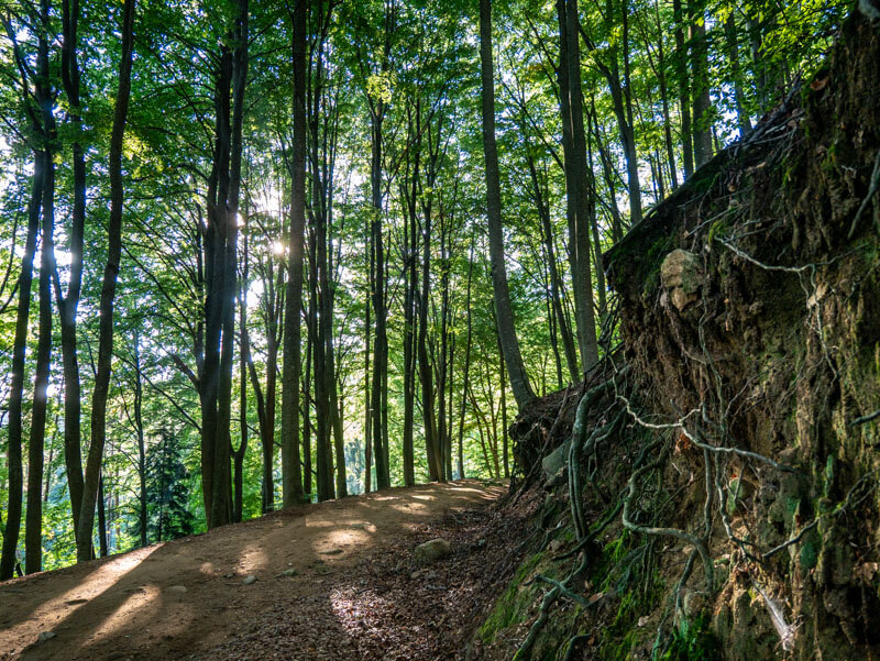 Montseny Arbúcies