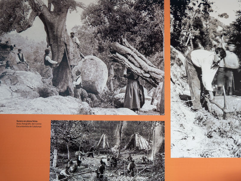 Fogars de la Selva